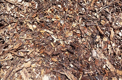 mulch